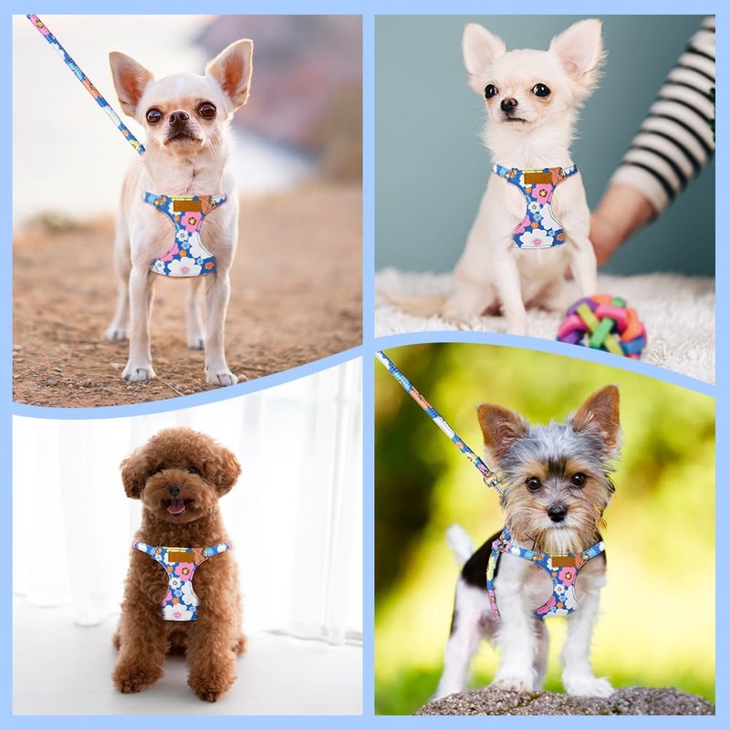 SlowTon Puppy Harness and Leash Set - No Pull Soft