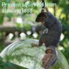 Hummingbird Feeders for Outdoors Hanging Bird Feeder with 8 Feeding