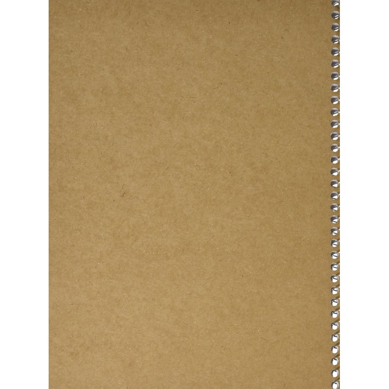 Mead Spiral Notebook, 1-Subject, Graph Ruled Paper, 10-1/2" x 8",