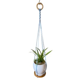ATLanyards Light Blue Hanging Plant Shelf | Blue Plant Hanger | Floating Plant Shelf | Macrame Plant Holder | Boy Nursery Room Decor | 364 (24" Long with Metal Ring)