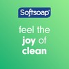 Softsoap Moisturizing Body Wash and Shave Gel, Cool Cucumber Scent,