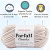 Premier Yarns Parfait Chunky Mushroom 1150-41 (6-Skein) Same Dyelot Weight