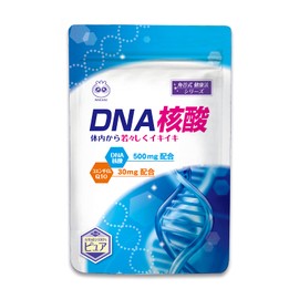 【公式】わかさ生活 DNA核酸 3袋セット (1袋 62粒入り) 3ヵ月分 DNA RNA コエンザイムQ10 葉酸 配合