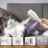 Cat Brush with Steam, 4 in 1 Steam Brush Cat,