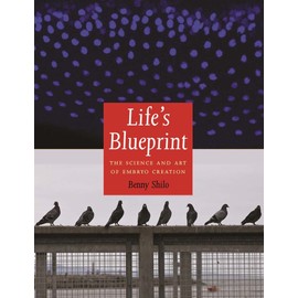 Life's Blueprint: The Science and Art of Embryo Creation