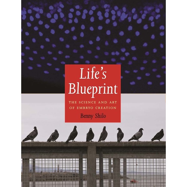 Life's Blueprint: The Science and Art of Embryo Creation