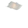 Lite Source LS-5430 Flush Mount with Frosted Glass Shades, Chrome