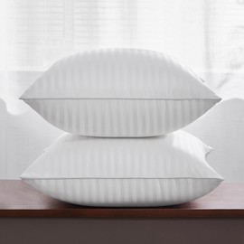 Oubonun 28 x 28 Throw Pillow Inserts, Firm and Fluffy Decorative Square Pillows for Couch Bed Sofa with Soft Cotton Cover White Cushion with Down Alternative Pack of 2