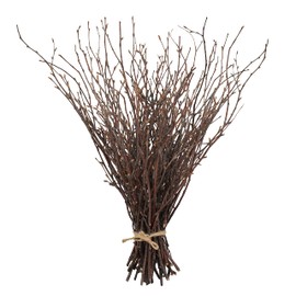 Uieke 50PCS Birch Twigs – 17 Inch Natural Dried Plants Decorative Birch Branches for DIY Crafts, Birch Sticks for Vases Wedding Arrangements Home Wreath Decor