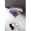WUITOKI Plastic Martini Glasses 6 Pack 25cl Reusable Dishwasher Safe