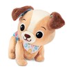 VTech Baby Explore and Move with Walking Puppy Plush Toy
