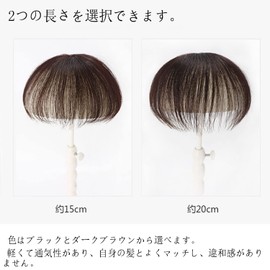 YOVOY Hairpiece Crown Human Hair Wig Wigs Women Men Whole Wig Part Wig Hair Wigs Hairpiece Top Piece Point Wig Whole Cover Straight (brown, 15 cm)