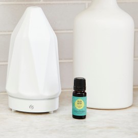 Edens Garden Pollen Buster "OK for Kids" Essential Oil Synergy Blend, 100% Pure Therapeutic Grade (Undiluted Natural/Homeopathic Aromatherapy Scented Essential Oil Blends) 30 ml