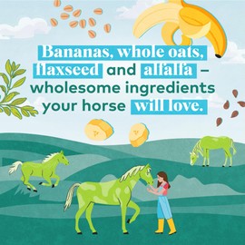 Honest to Goodness Upcycled Horse Treats Combo Pack, Apple and Banana 2 lb Each