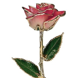 24k Gold Rose - Real Rose Dipped in Gold (2-Tone Bright Red)