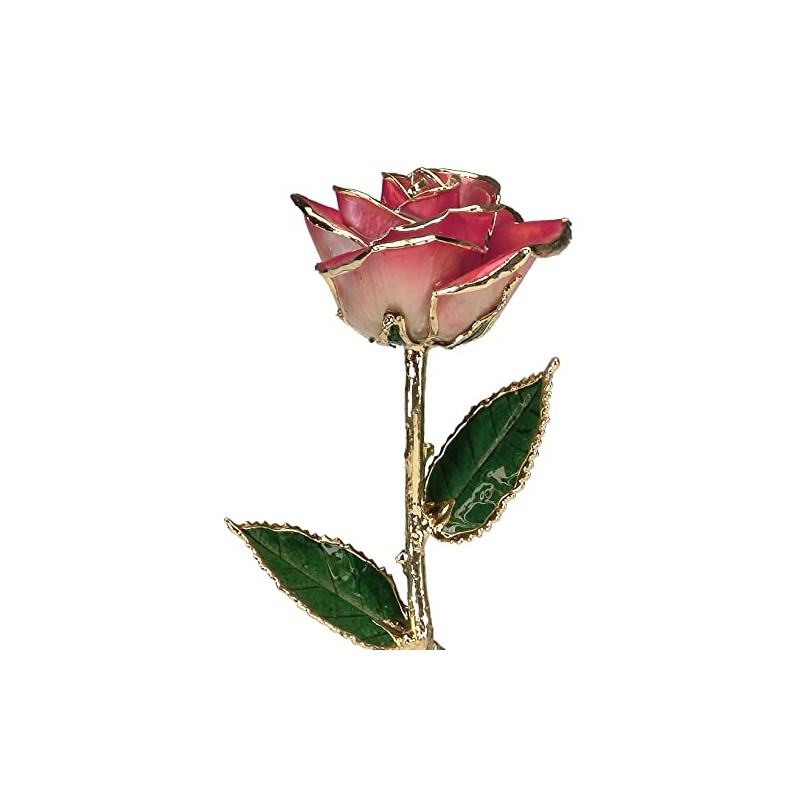 24k Gold Rose - Real Rose Dipped in Gold (2-Tone