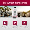 32oz Bonsai Fertilizer Liquid - Makes 192 Gallons of Bonsai