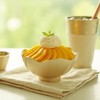 Notdam Bangjja Yugi Flower Shaved Ice Bowl + Round Spoon