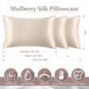 2 Pack 100% Pure Silk Pillowcase for Hair and Skin,