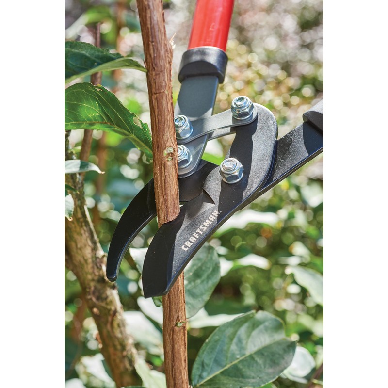 Craftsman Compound Bypass Lopper