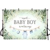 MEHOFOND Boy Baby Shower Backdrop A Sweet Baby Boy is