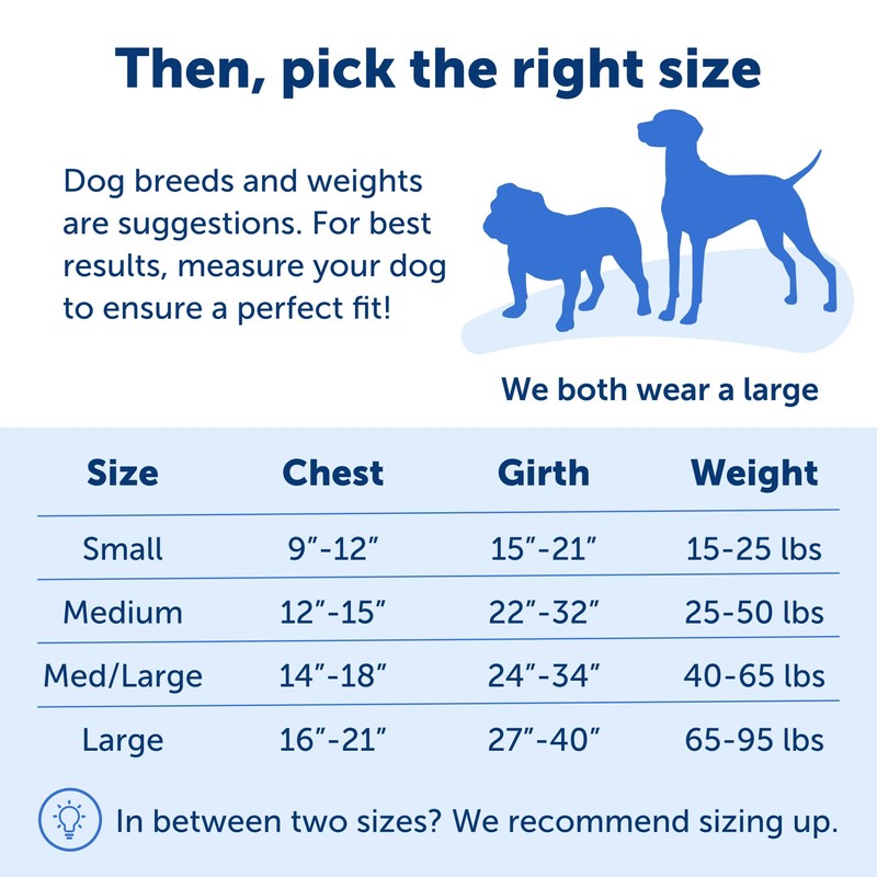 PetSafe Deluxe Easy Walk Dog Harness, Dog Harness for Medium-Size