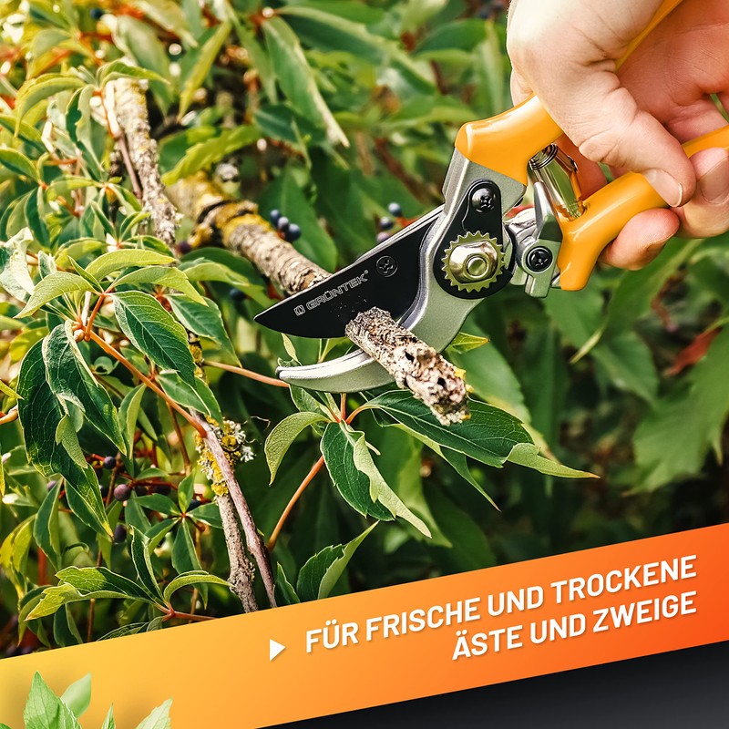 GRÜNTEK Bypass Secateurs Woodpecker, Allround Comfort Gardening Pruning Shears/Scissors with