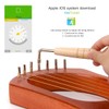 AKLOT Lyre Harp, 7 Metal String Bone Saddle Mahogany Lye