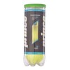 Prince 3 Championship Tennis Balls