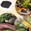 Tortoise Water Dish,Reptile Water Bowl with Ramp for Turtle,Aquarium Ornament,Tortoise