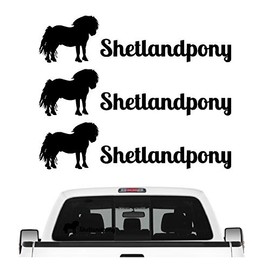 siviwonder Shetland Pony Mini Horse Sticker Set of 3 Horse Riding Car Foil Colour Black, Size 10 cm