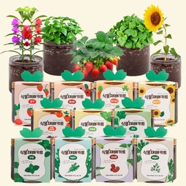 Easy Grow Plant Growing Kit Tomato Strawberry Coriander Basil Cultivation 02Strawberries