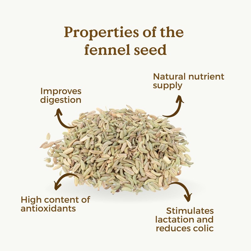Fennel Seeds Organic 200g (100 Cups) | Organic Fennel Tea,