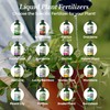 Professional Liquid Bromeliad Plant Fertilizer | 3-1-2 Concentrate for Plants