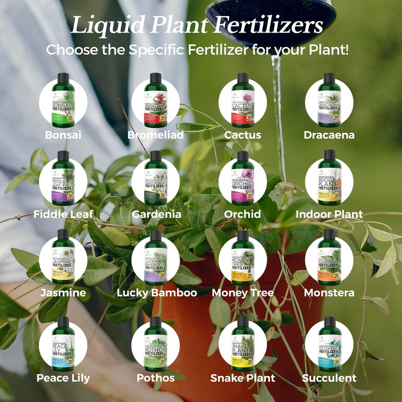 Professional Liquid Bromeliad Plant Fertilizer | 3-1-2 Concentrate for Plants