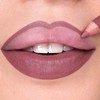 Mesauda Artist Lips 102 Rosewood