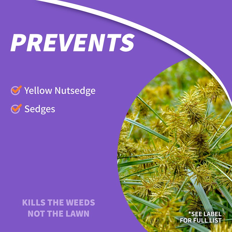 Bonide Sedge Ender, 16 oz Concentrated Weed Killer For Outdoors,