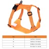 Dog Vest Leash Reflective Adjustable Multifunctional Comfortable Medium to Large