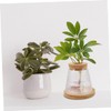 Abaodam 2Pcs Hydroponic Glass Plant Propagation Jars with Stand Lid