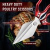 Dream Reach Poultry Shears - Heavy Duty Kitchen Scissors for