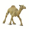Safari Ltd. Wild Safari Wildlife Dromedary Camel