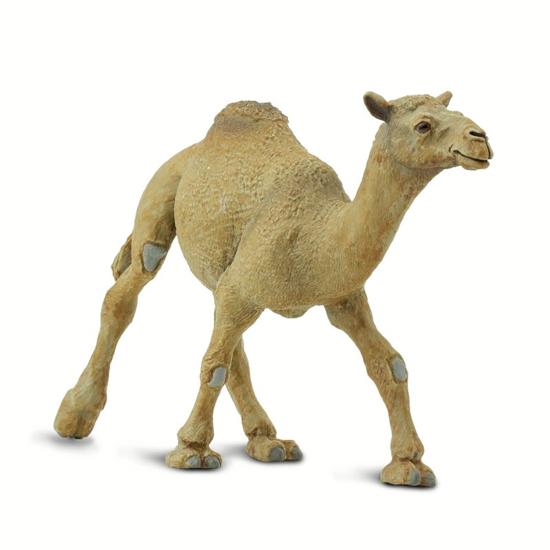 Safari Ltd. Wild Safari Wildlife Dromedary Camel