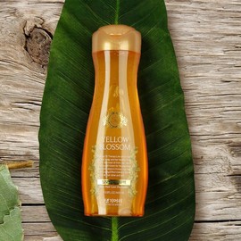 Daeng Gi Meo Ri Yellow Blossom Anti Hair Loss Shampoo 400ml Nutrition K beauty