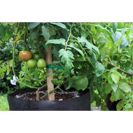 Smart Pots 200-Gallon Smart Pot Soft-Sided Container, Tan