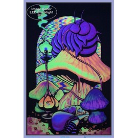 Scorpio Posters Alice in Wonderland Dreaming - Flocked Blacklight Poster - 23" x 35"