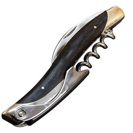 TEACHER (asuro) somurienaihu Ebony