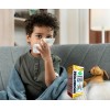 Bronkitose Miellimon-saz Jbe 240ml - Auxilia En Resfriado Miel