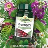 Natures Aid Cranberry 200mg – High Strength Tablets – Supports