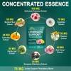 Lymph Drainage Dietary Supplement | Lymphatic System Support | Lymph