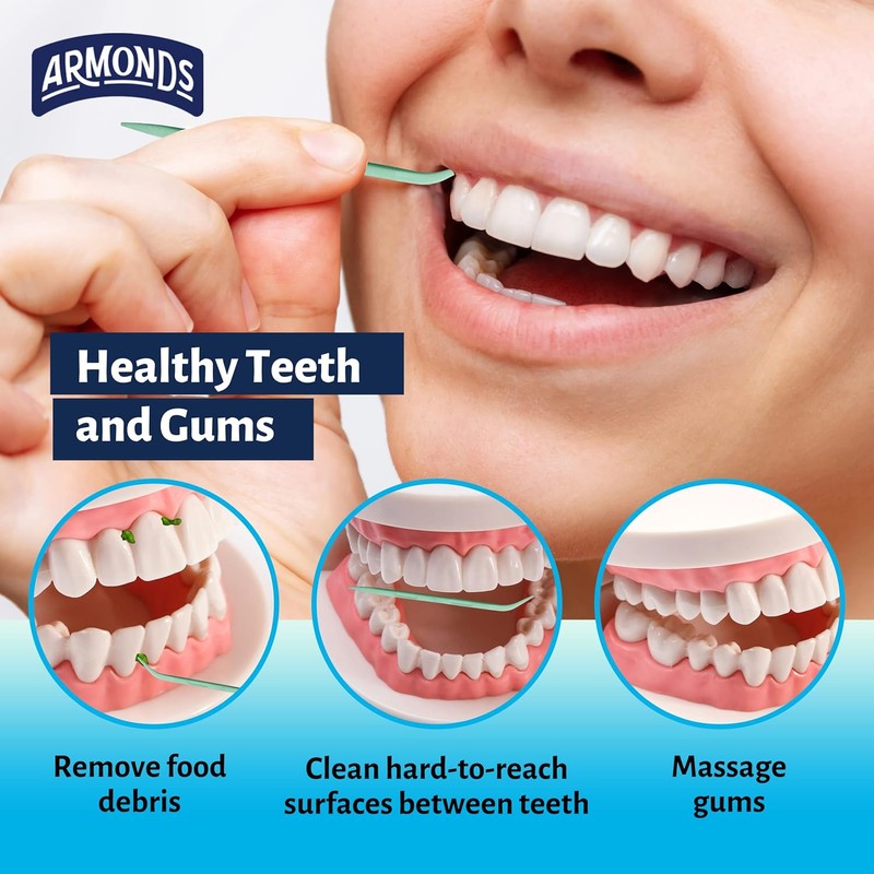ProPicks MicroPick Dental Picks for Teeth Cleaning with Zinc Oxide